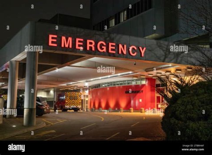 Lizzo Treats Emergency Staff At A Detroit Hospital To Lunch